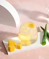 Herbal Aloe Concentrate Mango