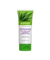 Herbal Aloe Hand Body Lotion